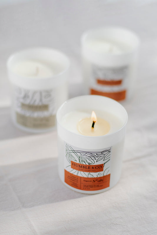 El poder de los aromas en tu bienestar diario